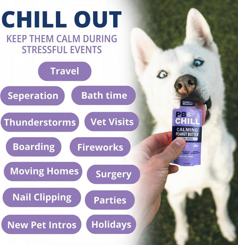 100% 1 Oz Pack 6 Under the Weather Pet PB & CHILL Dog Peanut Butter Dog Treats | Vet-Formulated Natural and Tasty