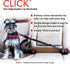 CLICK Dog Seat Belt for Car by EzyDog - Adjustable Heavy Duty Nylon Attachment