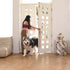 Luckyiren Brown Leather Hanging Door Bells for Dogs to Ring to Go Potty Training Doorbells Tools to Go Outside Dog