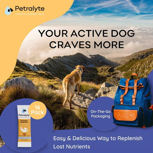Dog Electrolytes and Joint Supplement, Glucosamine, Chondroitin & MSM for Inflammation and Mobility Support