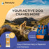 Dog Electrolytes and Joint Supplement, Glucosamine, Chondroitin & MSM for Inflammation and Mobility Support