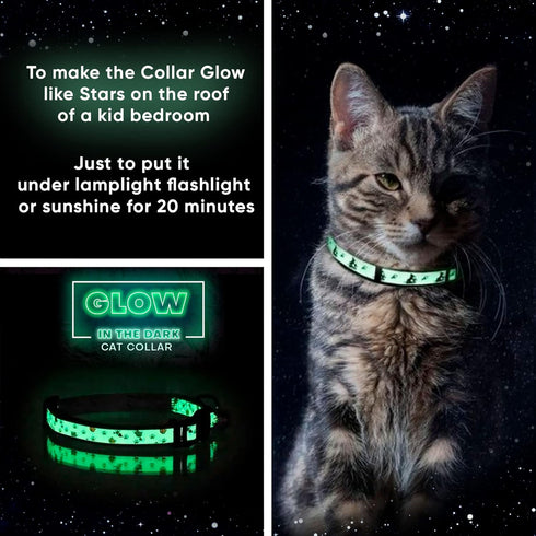 Pawtitas Pet Glow In The Dark Cat Collar with Safety Buckle and Bell, Green Hook