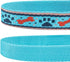 Blueberry Pet Pack of 2 Adjustable Dog Collar, Sky Blue with Detachable Orange Flower Accessory, Large