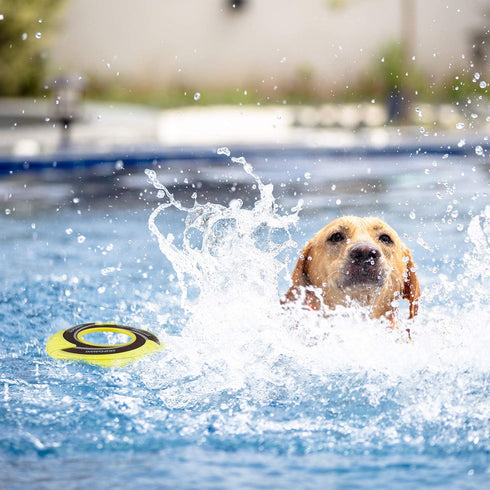 SKIPDAWG Interactive Dog Tug Toy, Dog Flying Disc Water Toy, Non-Toxic Light TPR/Nylon Fabric, 9 Inches Diameter