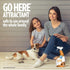 OUT! PetCare Go Here Attractant Indoor and Outdoor Dog Training Spray, 32 oz, House-Training Aid