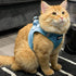 Best Pet Supplies No Pull Harness for Small, Medium Dogs, Cats - All Weather Mesh, Reflective, Baby Blue, M