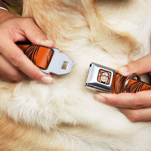 Dog Collar with Seatbelt Buckle - Tigger Stripes Orange Black, 18 to 32 Inches, 1.5 Inch Wide