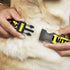 Dog Collar Plastic Clip Pet Quote Caution I Bite with Dog Growl Yellow Black 11 to 17 Inches 1.0 Inch Wide