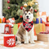 Malier Christmas Dog Bandanas 2 Pack, Classic Buffalo Plaid Triangle Bibs for Small Medium Large Dogs & Cats (Large,