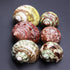 Unstained Natural Hermit Crab Shells, 6 PCS Pearl Turbo Seashell for Décor, Size 1.5" - 2"