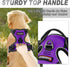 BARKBAY No Pull Dog Harness, Front Clip Heavy Duty Reflective Easy Control Handle for Large Dogs (Purple, S)
