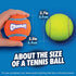 Chuckit Dog Tennis Ball Dog Toy, Medium (2.5 Inch Diameter) for Dogs 20-60 lbs, Pack of 4