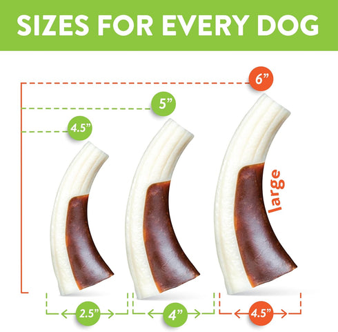 Spunky Pup Antler Snack & Chew - Durable Nylon Dog Chew Toy with Embedded Beef-Flavored Treat, Large