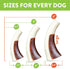 Spunky Pup Antler Snack & Chew - Durable Nylon Dog Chew Toy with Embedded Beef-Flavored Treat, Large