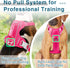 BARKBAY No Pull Dog Harness with ID Tag Pocket - Heavy Duty Reflective Control for Large Dogs (Pink, S)