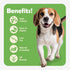 MON2SUN 21.2 oz Dog Treats Chicken Jerky, Single-Ingredient, Rawhide-Free, High Protein, Low Fat, Training Treats