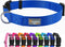 Blue Dog Collar Basic Adjustable, Breathable Quick Release Nylon Pet Collar for Puppy Small Medium Large Dogs
