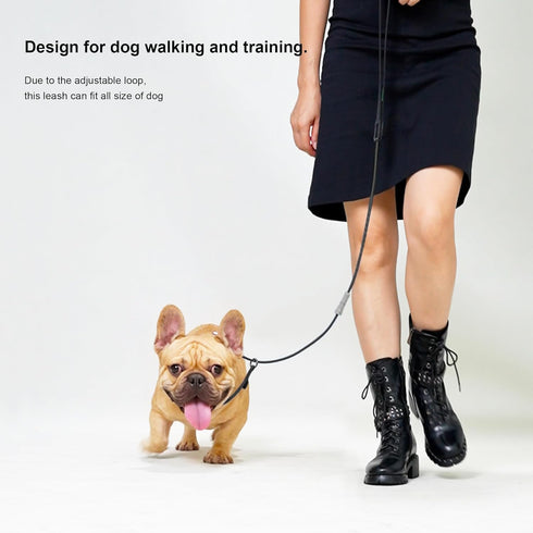 Dog Leash,Pet Training Leash,Strong and lightweight leash,Training?leading and holding suitablefor Small,Medium or Large Dogs,slip leads for dogs(BLACK, 4ft)