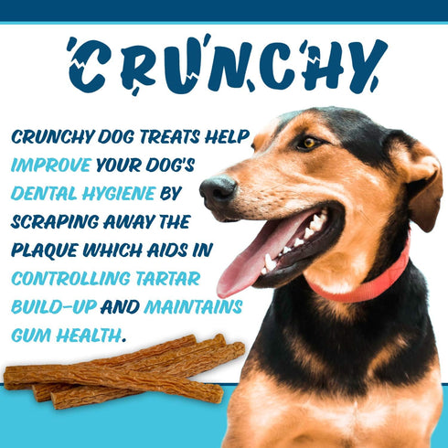 Texas Pet Company Chicken Jerky Crunchy Bars Dog Treats - Made in The USA, 15 Bars, Natural No Additives