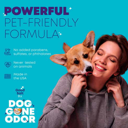Dog Gone Pet Odor Reducer, Fresh Air Formula, 32 oz - 2 Pack, Effective Surface Freshener, Reapply Every 30-60 Days