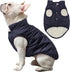 2 Layers Fleece Lined Warm Dog Jacket for Puppy Winter Cold Weather, Soft Windproof Small Dog Coat, Blue M