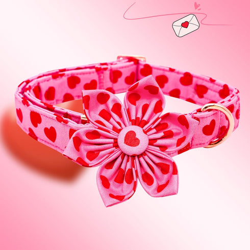 Lionheart glory Valentine's Day Dog Collar with Flower, Hearts Design for X-Small Dogs, Spring Puppy Collar