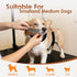 Mot Ycse Hammock Professional Dog Grooming Arm Kit with Adjustable & No-Sit Haunch Restraints All-in-One Solution