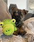 Spunky Pup Lil' Bitty Squeakers Dog Toy, Small Sized Toy with Ball Squeaker, Gator