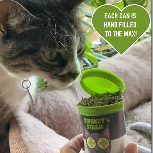 Smokey's Stash Cat Catnip Spray and Dried Organic Catnip Combo, Maximum Potency Bundle