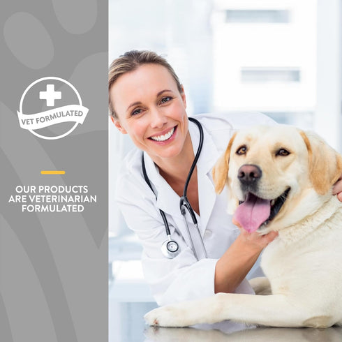 120 NaturVet Senior Wellness Hip & Joint Advanced Plus Omegas | Help Support Your Pets Healthy Hip & Joint Function |
