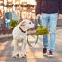 2PCS Dog Poop Bag Holder, Waste Holder for Dispenser Carrier, Hands-Free Metal