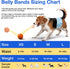 26 Count) Male Dog Diapers with Wetness Indicator, Disposable Belly Band for Puppy Male Diapers, Doggie Wraps for Puppy
