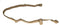 Raine Tactical Sling - Marine Corps Issued Two Point Tactical Gear Sling in Coyote Brown for Marine Equipment