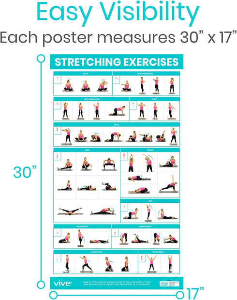 Vive Workout Posters (3 Pack) - Bodyweight, Yoga, Stretching Exercise Guide for Home Fitness, Laminated Illustrations