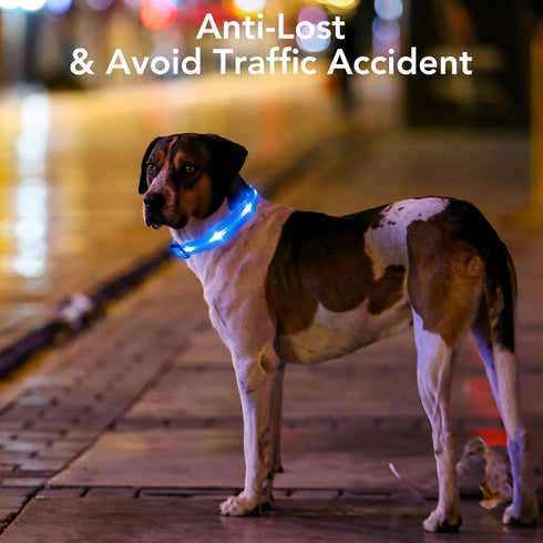 Light Up Dog Collars - Rechargeable LED Reflective Dog Collar for Night Walking - Adjustable Glow Collar (Blue, Small)