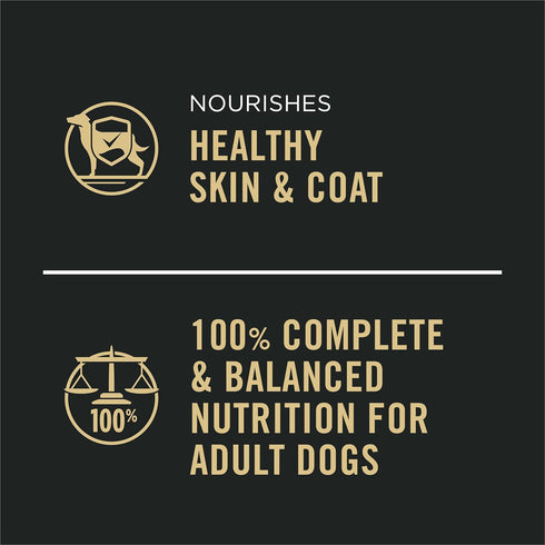 (Pack 12) 13 oz. Purina Pro Plan Complete Essentials, Beef and Vegetables Entree in Wet Dog Food Gravy - of Cans