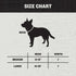 Hooey Nomad Dog Collar, Durable Polyester Webbing with Graphic-Inspired Prints, Serape Tijana, Medium