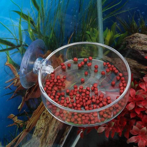 Senzeal 2PCS Shrimp Feeding Dish, Glass Aquarium Fish Tank Reptiles Round Feeder Bowl with Suction Cup