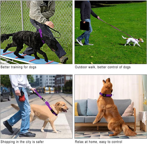 PLUTUS PET Reflective Martingale Collar with Quick Snap Buckle, No Pull Choker for Small Medium Large Dogs, L, Purple