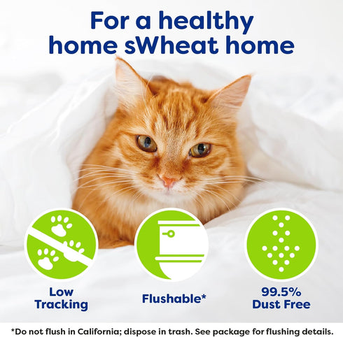 Natural Wheat Multi-Cat Litter, 14 Pound Bag with Superior Clumping and Odor Neutralizing Enzymes
