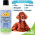 Bodhi Dog Gentle Moisturizing Conditioner - 17 oz - Soothing Plant-Based Formula with Aloe Vera & Jojoba Oil