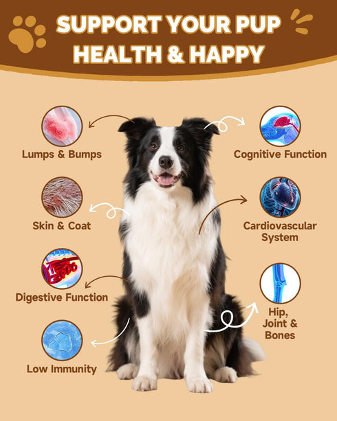 Immune 13 Mushrooms for Dogs - Turkey Tail Mushroom for Dogs - Gut, Skin, Joint, Health- Dog Lumps & Bumps - Organic