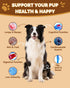 Immune 13 Mushrooms for Dogs - Turkey Tail Mushroom for Dogs - Gut, Skin, Joint, Health- Dog Lumps & Bumps - Organic