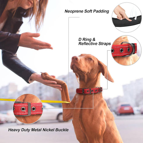 PetiFine Dog Collar with Metal Buckle, Heavy Duty Soft Neoprene Padded Adjustable Reflective Nylon for Small Medium