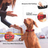 PetiFine Dog Collar with Metal Buckle, Heavy Duty Soft Neoprene Padded Adjustable Reflective Nylon for Small Medium