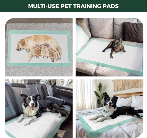 60x33.5 inch 20 Count, 5 32" 6/8 FXW XXL Puppy Pee Pads for Dogs Layer Super Absorbent & Leak Proof-Thickened