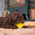 Frienda Squeaky Dog Toy Ball, Reliable Rubber Squeaker for Interactive Puppy Chew Toys, Tennis Shape