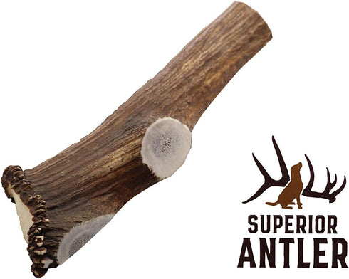 Jumbo Elk Antler Split for Dogs – XXL G Natural Premium Grade A Chew | Naturally Shed, Hand-Picked, Made in USA, No Odor