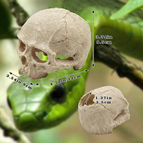 Reptile Aquarium Skull Decor, Snake Hideout Resin Skeleton Head Fish Hide, 4.7 × 3.5 × 3.7 Inch