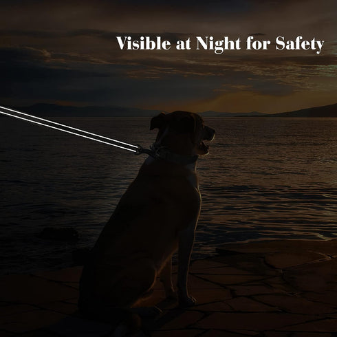 PetiFine 5FT Heavy Duty Dog Leash with Soft Padded Double Handle, Reflective Nylon for Large, Medium, Small Dogs